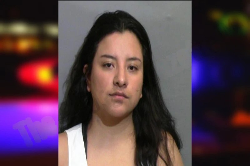 Blanca Gonzalez-Hernandez mugshot