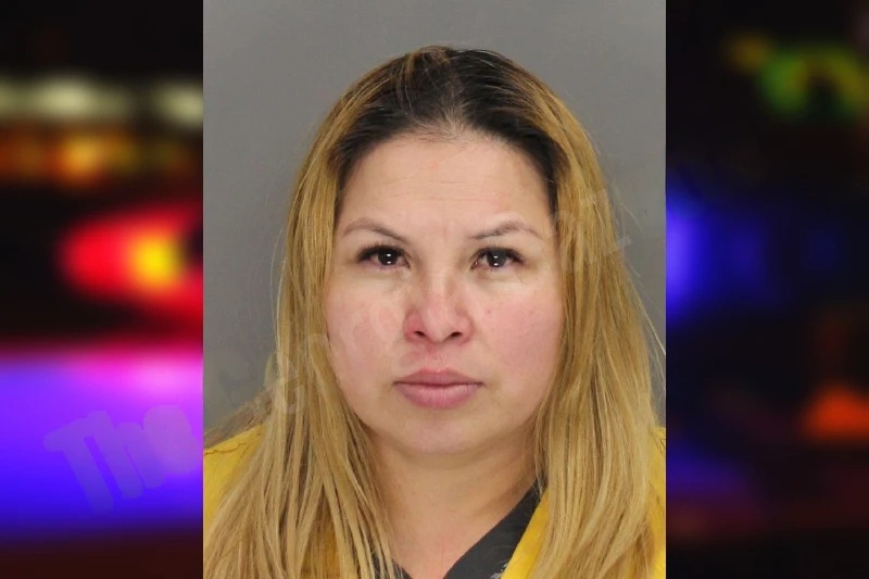 Blenda Blandin mugshot – Cobb County , Georgia Blenda Blandin mugshot