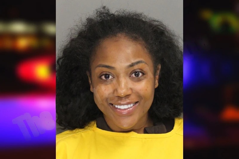 Bobbi Steele mugshot – Cobb County , Georgia Bobbi Steele mugshot