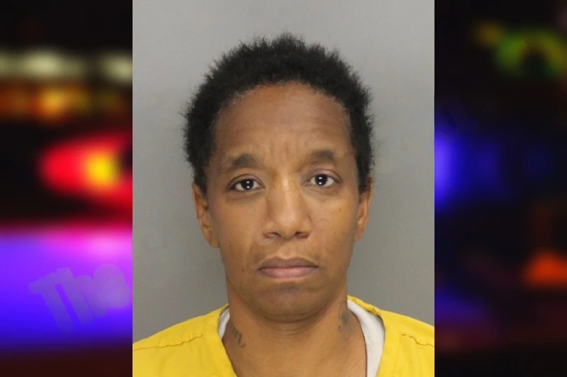 Bonita Howard mugshot