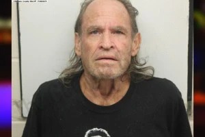 Bonnie Romine mugshot