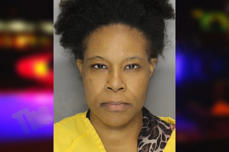 Brandee Pierce mugshot