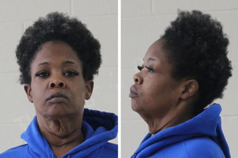 Brandi Williams Mugshots