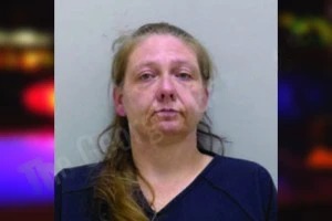 Brandi Wood Mugshots