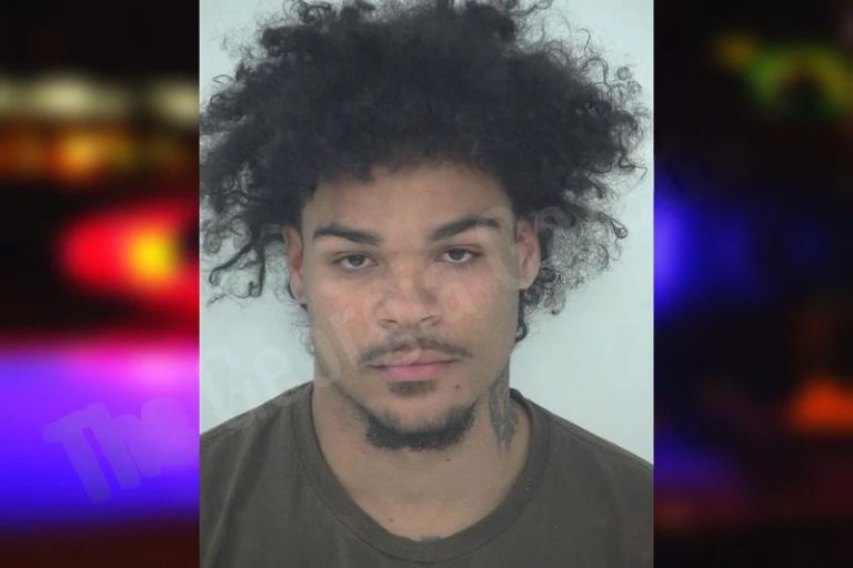 Brandon Greeson mugshot – Fayette County , Georgia Brandon Greeson