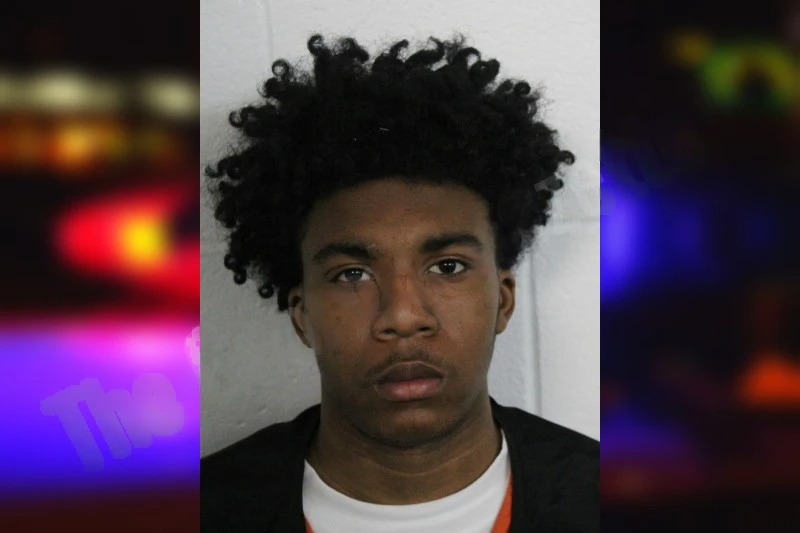 Brandon Griffin mugshot – Floyd County , Georgia Brandon Griffin mugshot