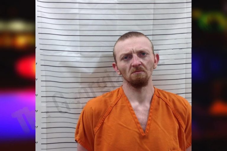 Brandon Logan mugshot – Pickens County , Georgia Brandon Logan