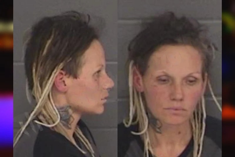 Brandy Bryant Mugshots