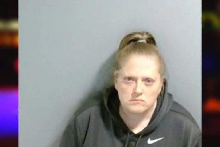 Brandy Evans mugshot – Fulton County , Georgia Brandy Evans