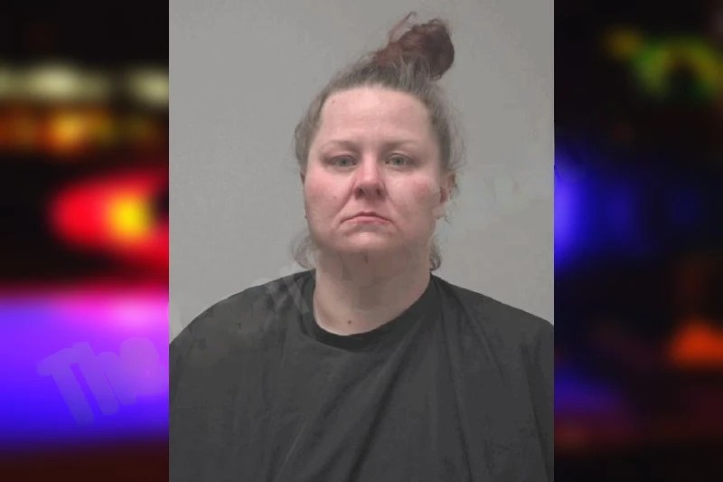 Brandy Fennell mugshot – Coweta County , Georgia Brandy Fennell mugshot