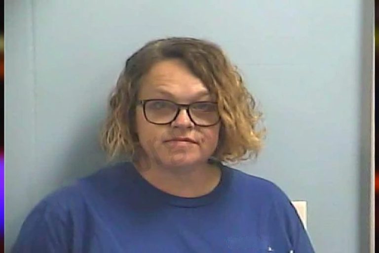 Brandy Sanders mugshot – Dawson County , Georgia Brandy Sanders