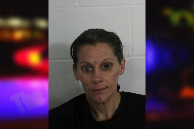 Brandy Sours mugshot