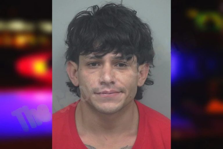 Brayaan Vallejos mugshot – Gwinnett County , Georgia Brayaan Vallejos