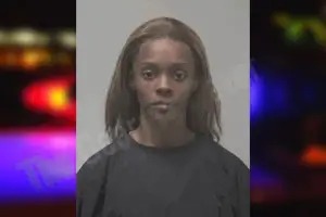 Bre Palmer mugshot