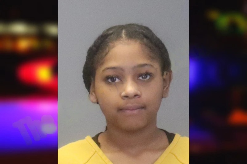 Breanna Brown Mugshots