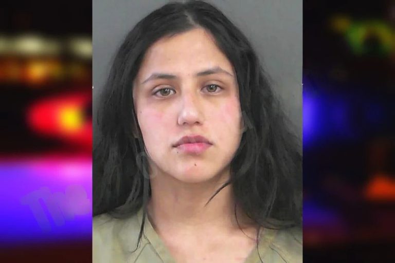 Breanna Lopez mugshot – Gordon County , Georgia Breanna Lopez