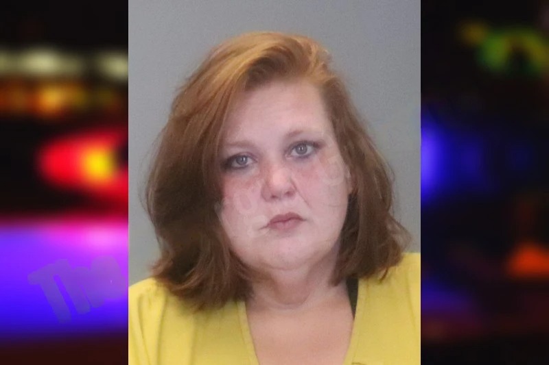 Breanna Nehl Mugshots