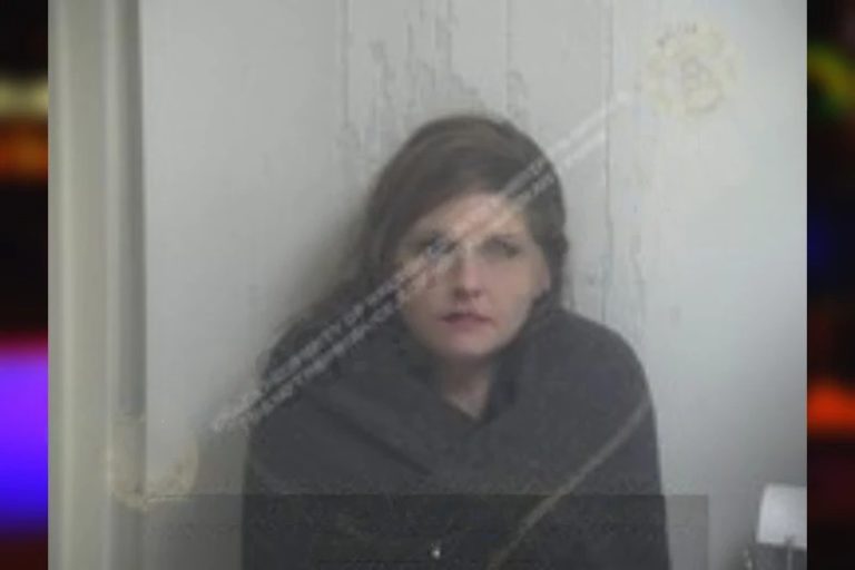 Breeanne Jenkins mugshot – Walton County , Georgia Breeanne Jenkins