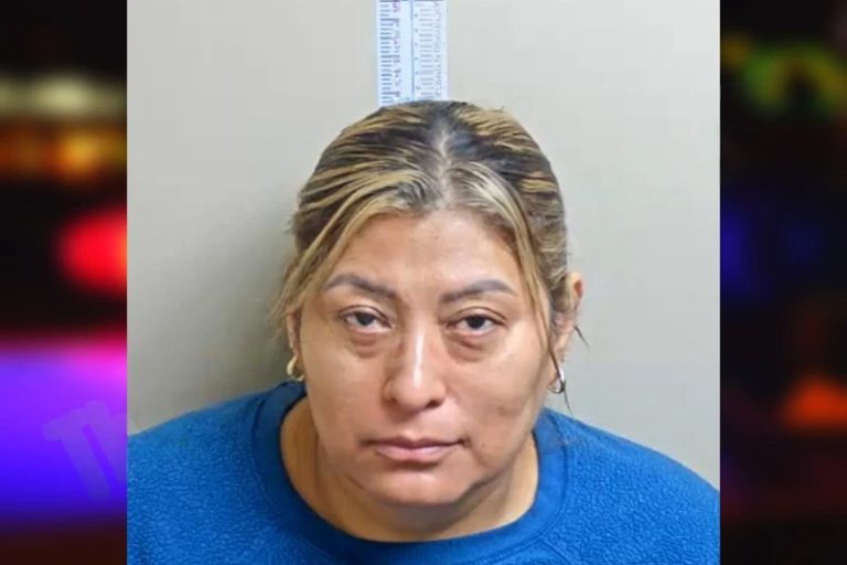 Brenda Cruz-Cruz mugshot – Gwinnett County , Georgia Brenda Cruz-Cruz