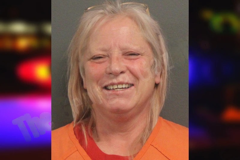 Brenda Gibson mugshot – Lumpkin County , Georgia Brenda Gibson mugshot