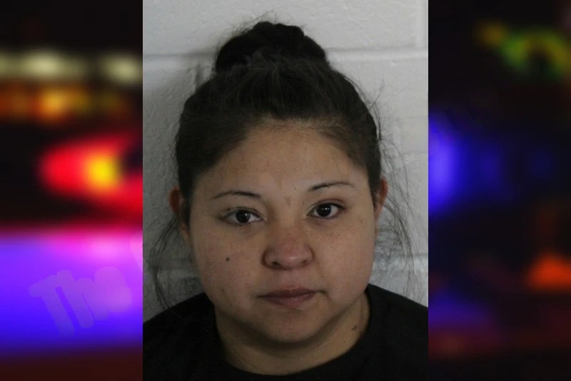 Brenda Santos-Martinez mugshot