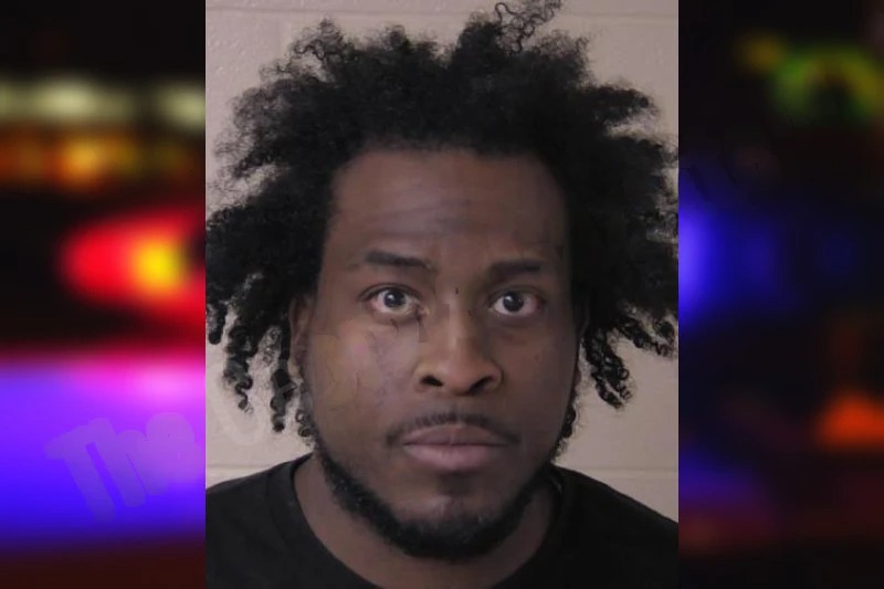 Brenton Stoves mugshot