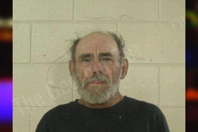 Brian Goins mugshot – Liberty County , Georgia Brian Goins