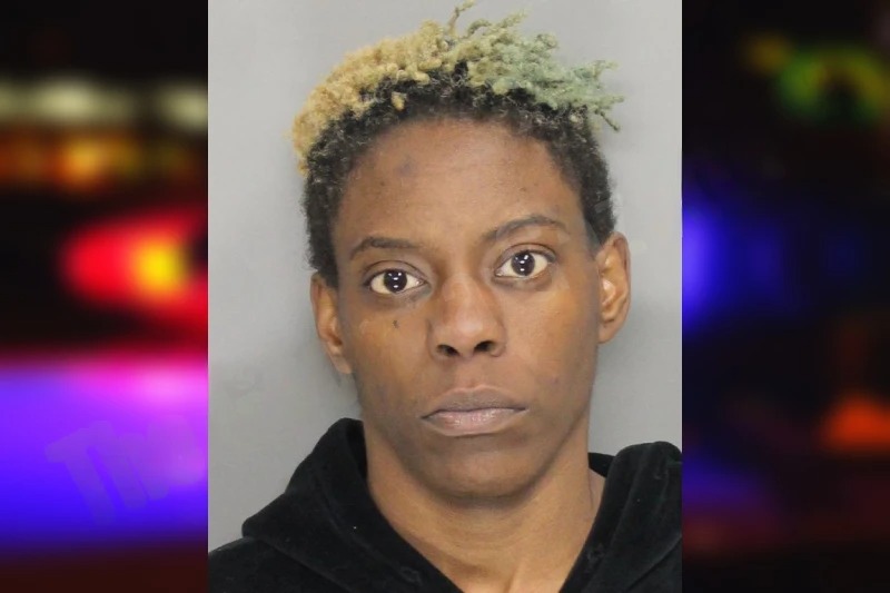 Briana Dallas Mugshots