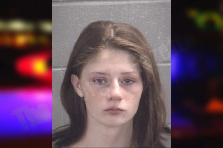 Brianna Jenkins mugshot – Spalding County , Georgia Brianna Jenkins