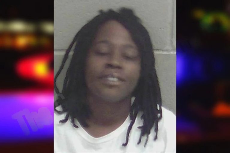 Brianna Pittman mugshot – Floyd County , Georgia Brianna Pittman