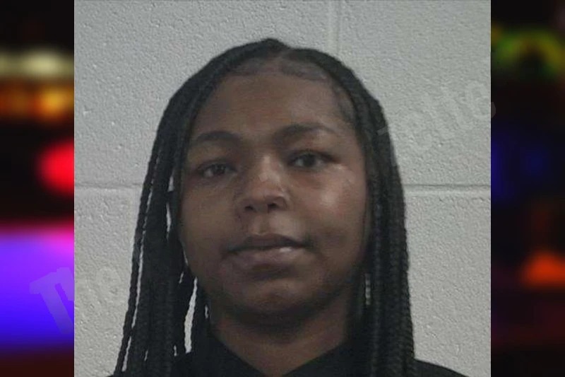 Brianna Williams Mugshots