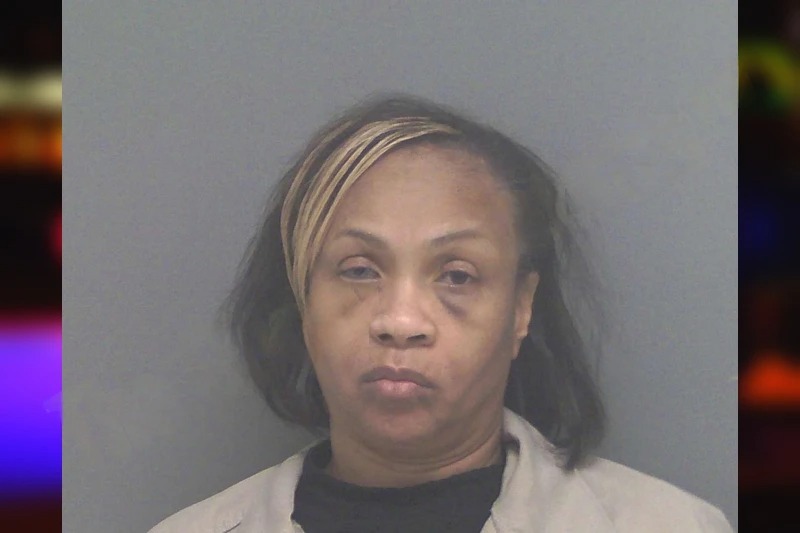 Bridget Shellman mugshot – Douglas County , Georgia Bridget Shellman mugshot