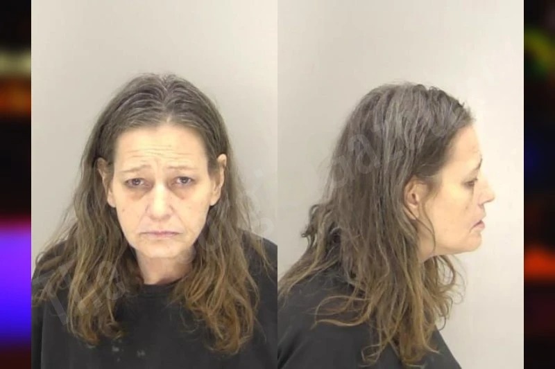 Bridgette Sheets Mugshots