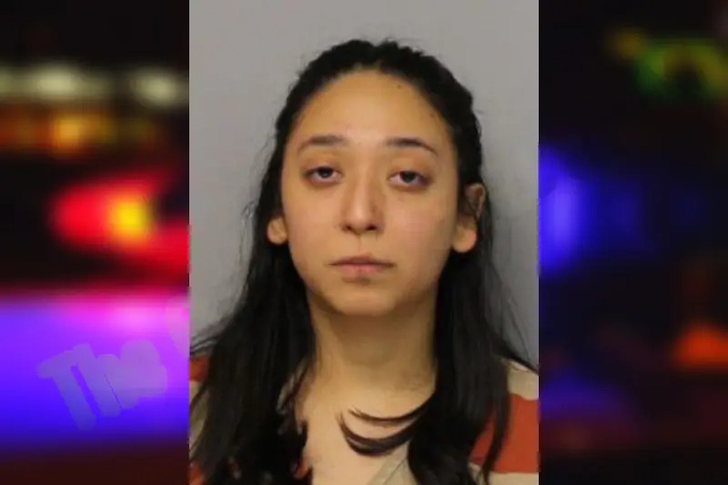 Brisa Salas mugshot – Hall County , Georgia Brisa Salas mugshot