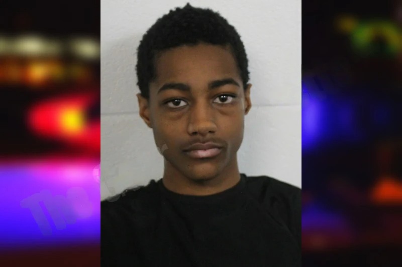 Brisyn Alexander Mugshots