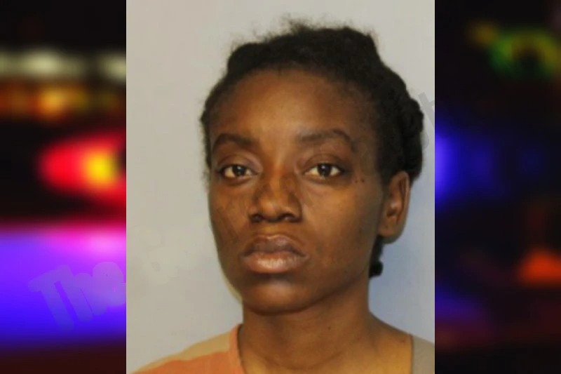 Britnee Lassiter mugshot – Hall County , Georgia Britnee Lassiter mugshot