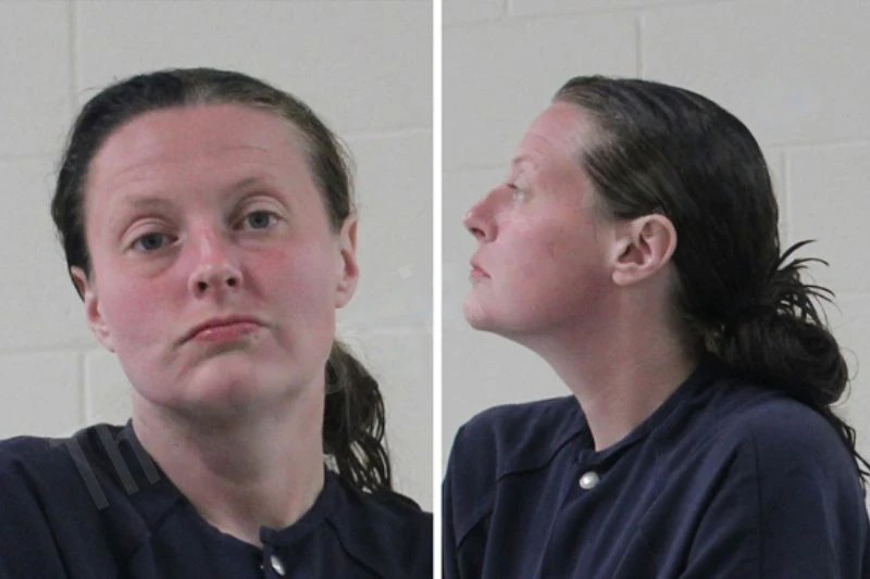 Brittany Guin Mugshots