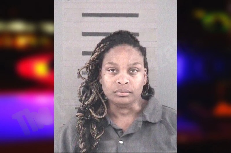 Brittany Houston mugshot – Dougherty County , Georgia Brittany Houston mugshot