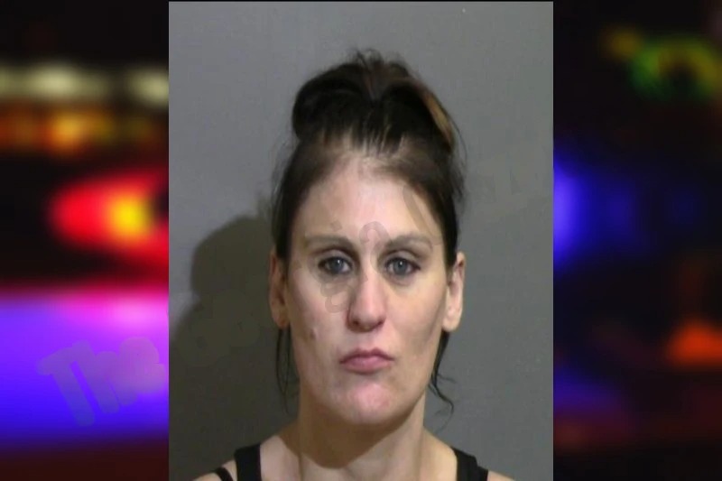 Brittany McClendon mugshot – Glynn County , Georgia Brittany McClendon mugshot