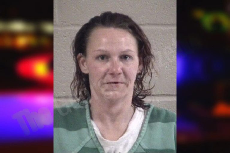 Brittany Pangle mugshot – Whitfield County , Georgia Brittany Pangle