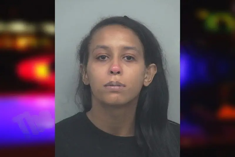 Brittnay Williams mugshot – Gwinnett County , Georgia Brittnay Williams mugshot