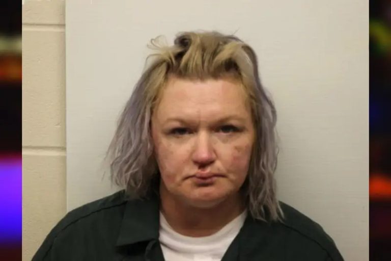 Brittney Wise mugshot – Chatham County , Georgia Brittney Wise