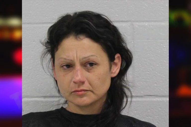 Brooke Fields mugshot – Carroll County , Georgia Brooke Fields