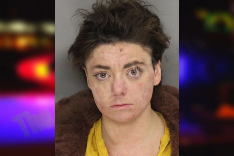 Brooke Turner mugshot