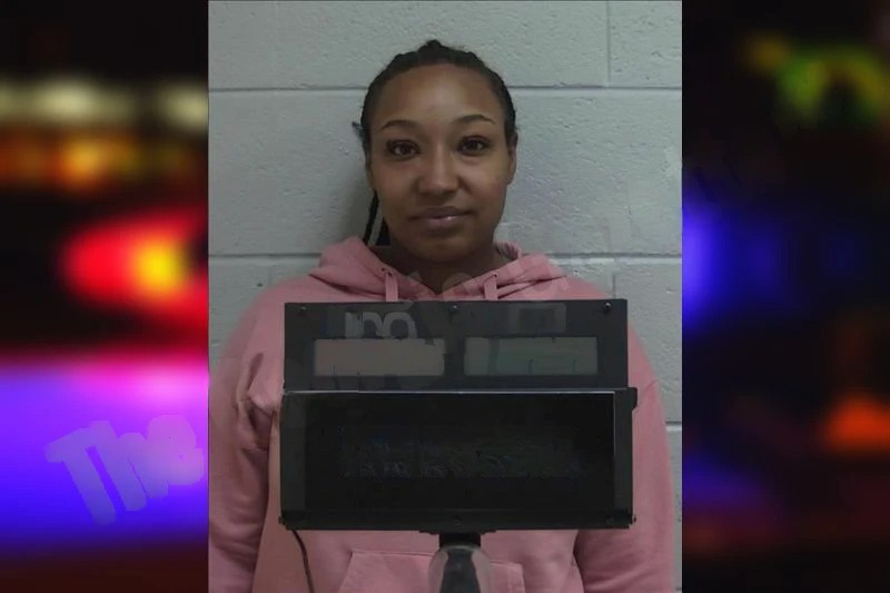 Brynisha Clements mugshot – Putnam County , Georgia Brynisha Clements mugshot