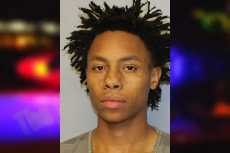 Bryson Johnson mugshot – Hall County , Georgia Bryson Johnson mugshot