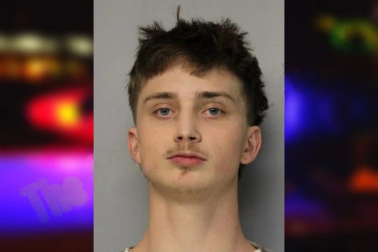 Brystin Stevens mugshot – Hall County , Georgia Brystin Stevens