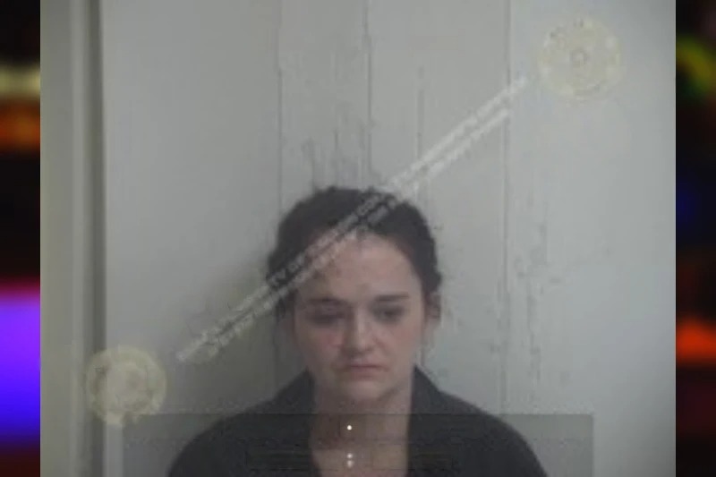 Caitlin Anderson mugshot