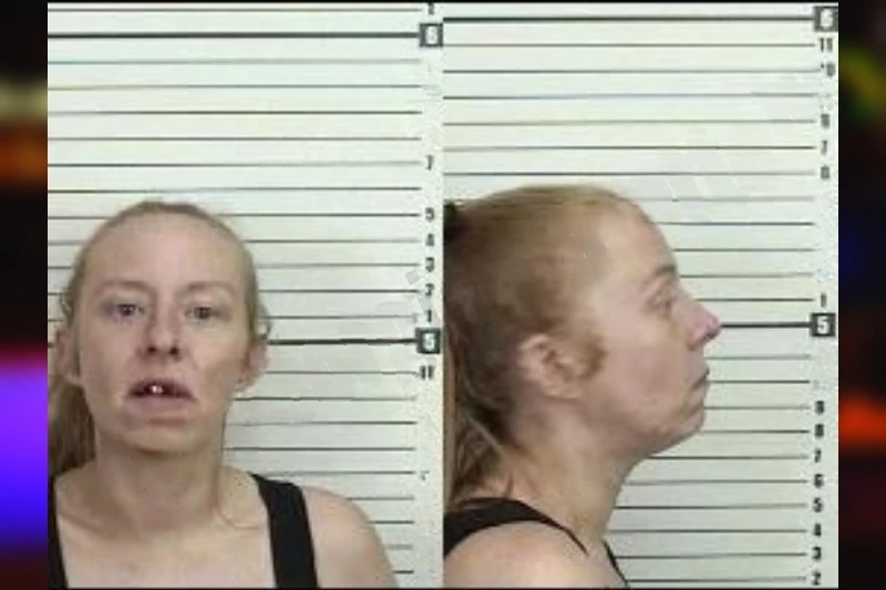 Caitlin Zeigler mugshot – Camden County , Georgia Caitlin Zeigler mugshot