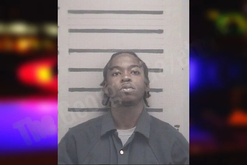 Cameron Love Mugshots